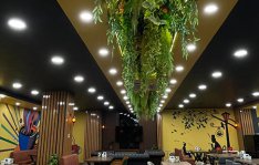 Caffe Serenita 6